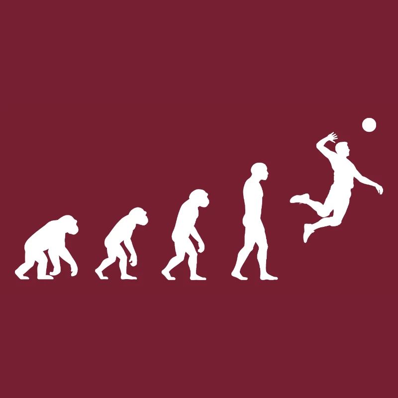 Evolution Volleyball