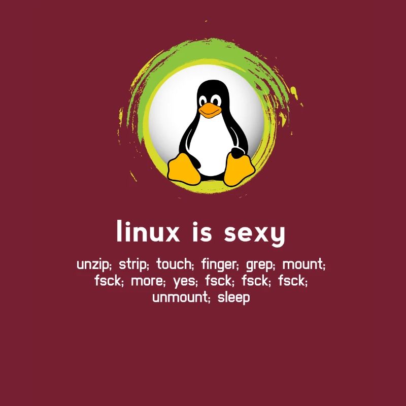 Computer System Penguin Nerd pc inside code admin
