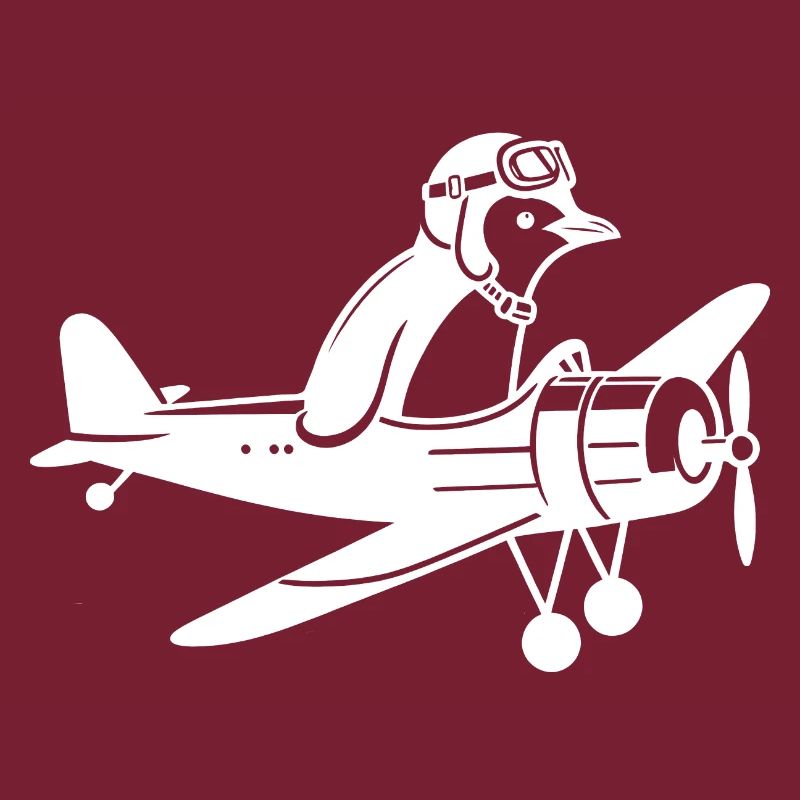 Licence de vol d’avion Penguin Pilot