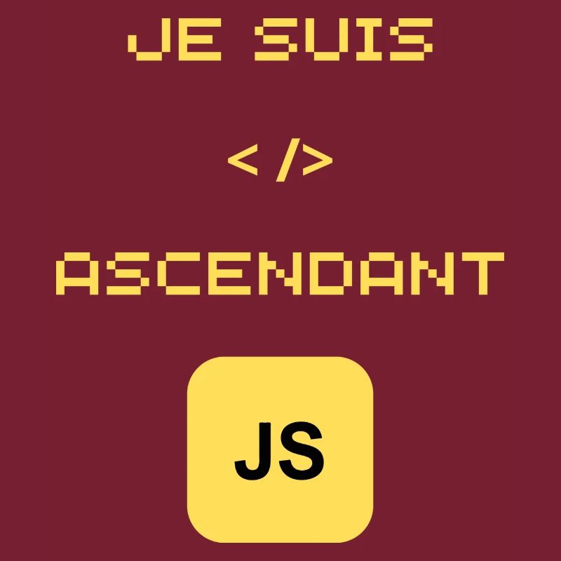 cadeau pour développeur JavaScript JS