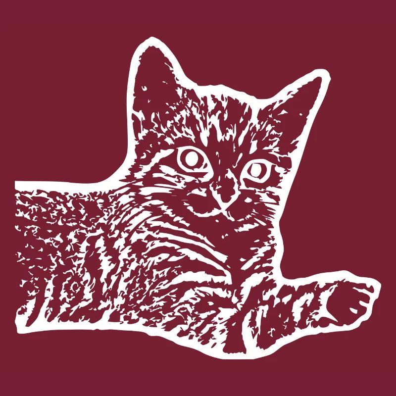 Katze Katze Kätzchen