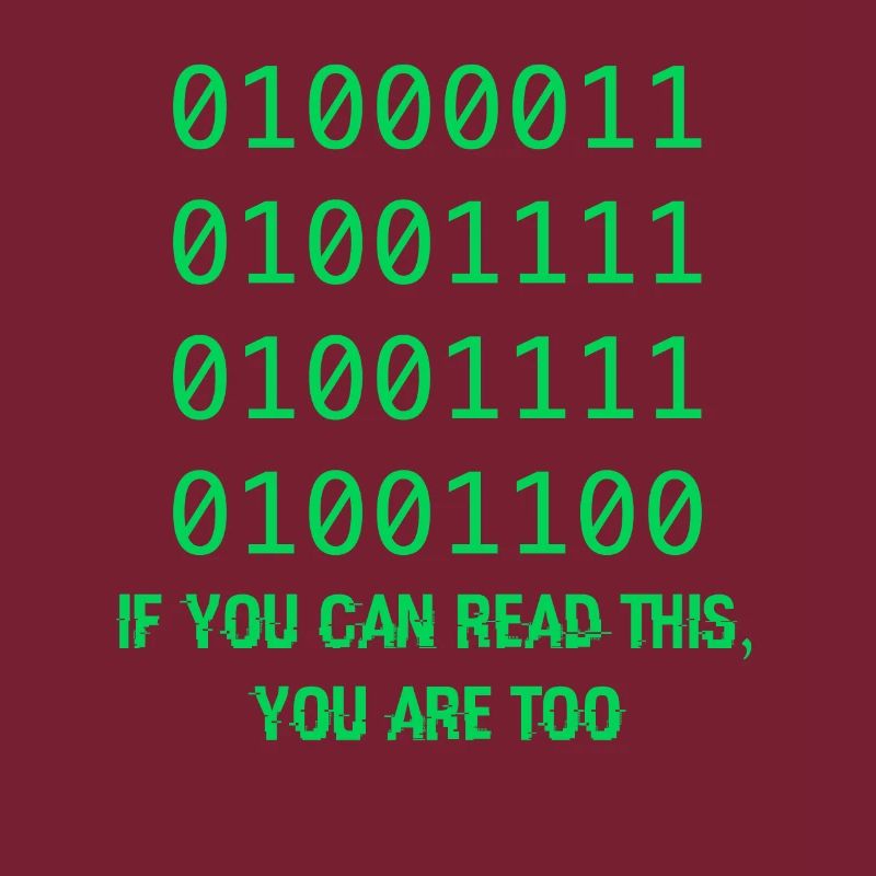 Computer Binary Code Developers Gift