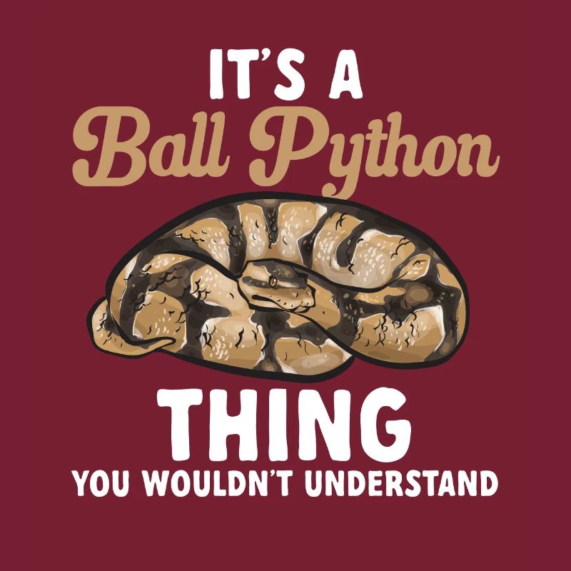 Ball Python Schlange Königspython