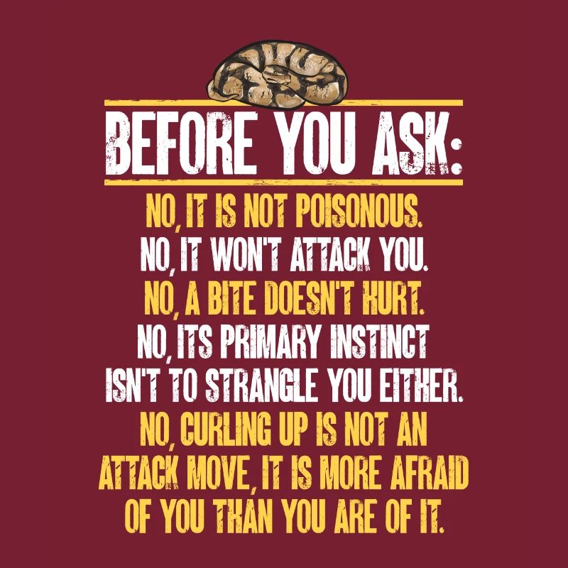 Ball Python Snake King Python