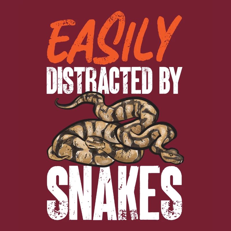 Ball Python Schlange Königspython