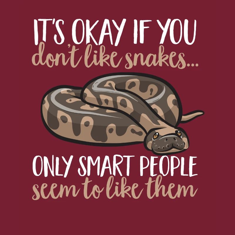 Ball Python Snake King Python