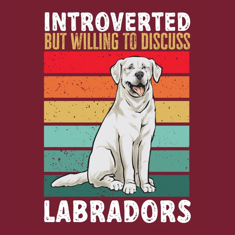 Labrador Retriever blanc Labrador Labrador blanc