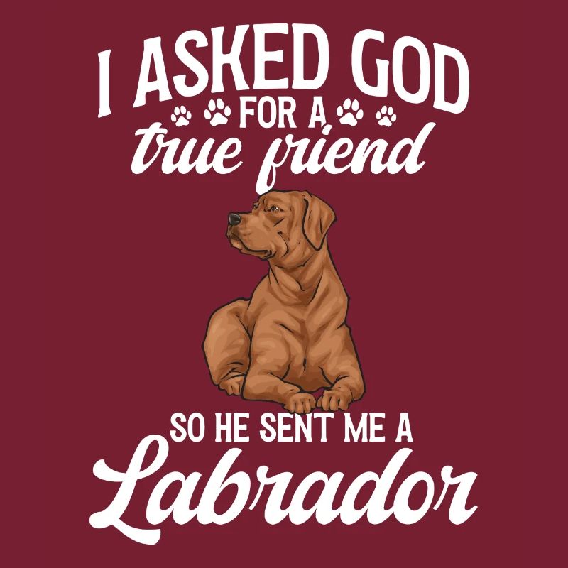 Fuchsroter Labrador Retriever Fox Red Labrador