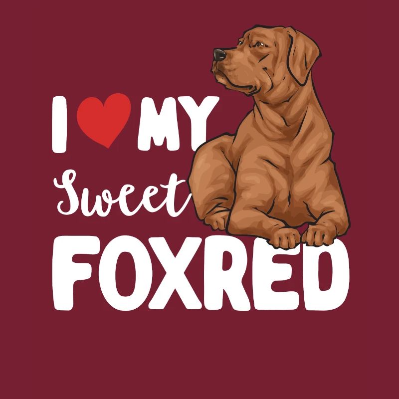Fuchsroter Labrador Retriever Fox Red Labrador