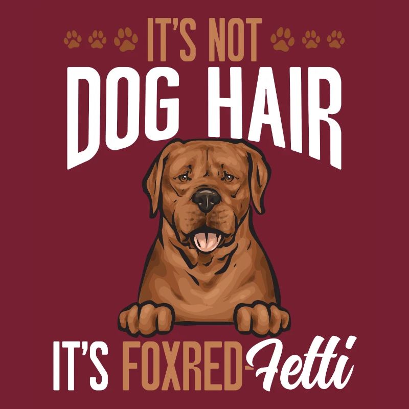 Fuchsroter Labrador Retriever Fox Red Labrador