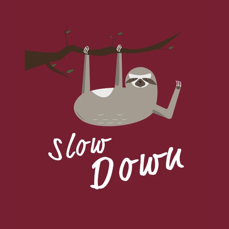 Sloth Slow Down pentes froid design