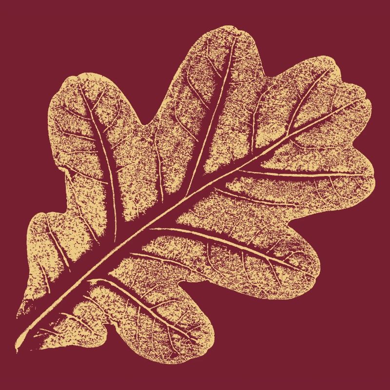 Blatt Eiche / Eichenblatt - Natur Design