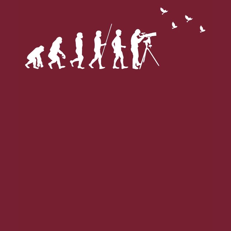 Birdwatching - Vogelbeobachtung - Evolution - fun