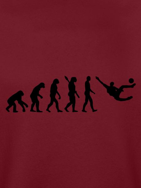 Evolution Fussball