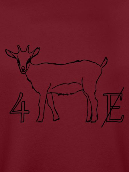 4zig