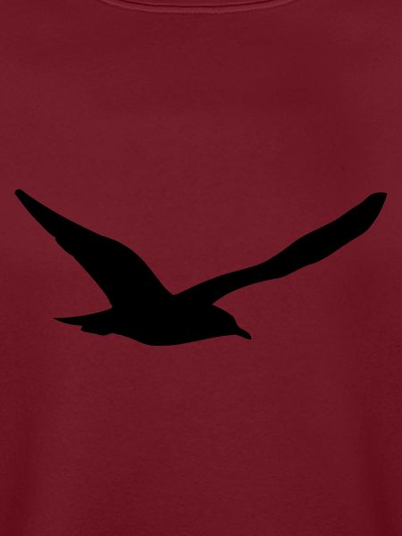 Möwe