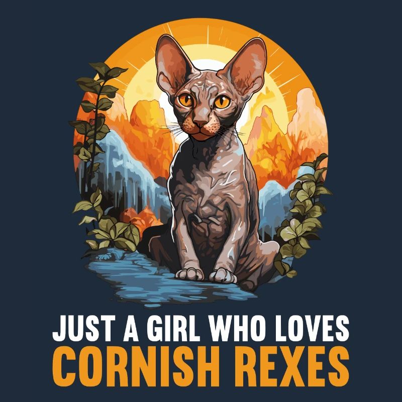 Cornish Rex Kätzchen Cornish Rex Katze