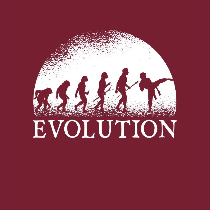 Karate evolution