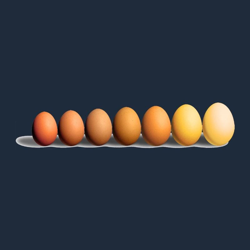 Eier