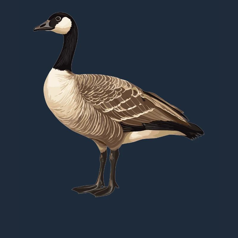 Gänse Gans