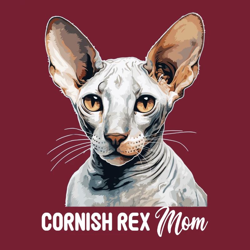 Cornish Rex Kätzchen Cornish Rex Katze