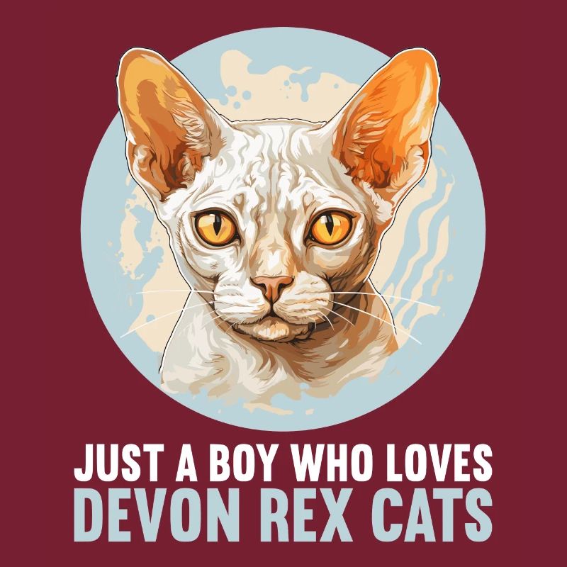 Chaton Devon Rex Chat Devon Rex