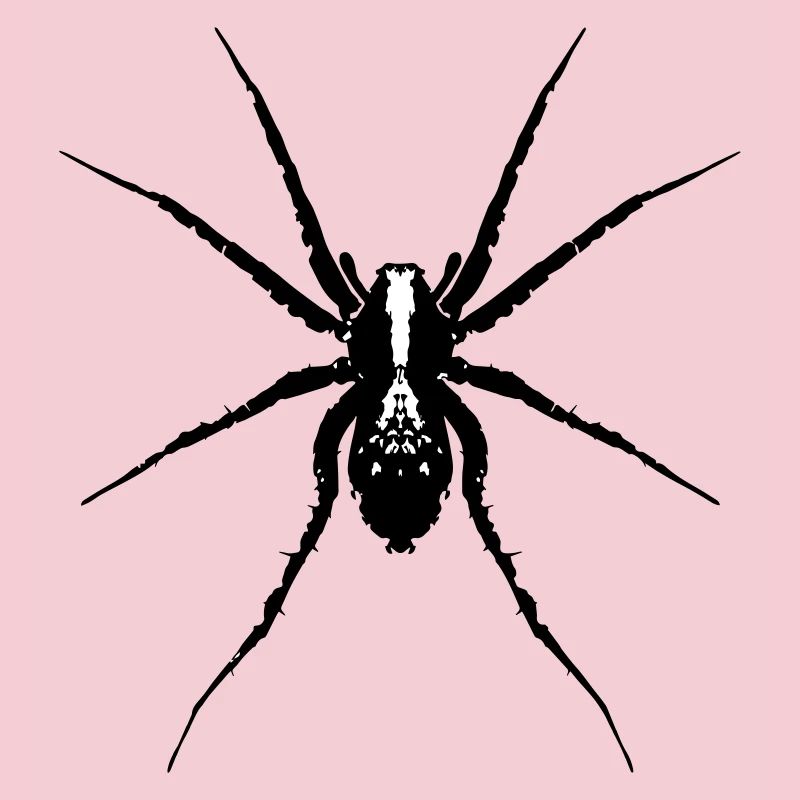 Spinne / Wolfsspinne