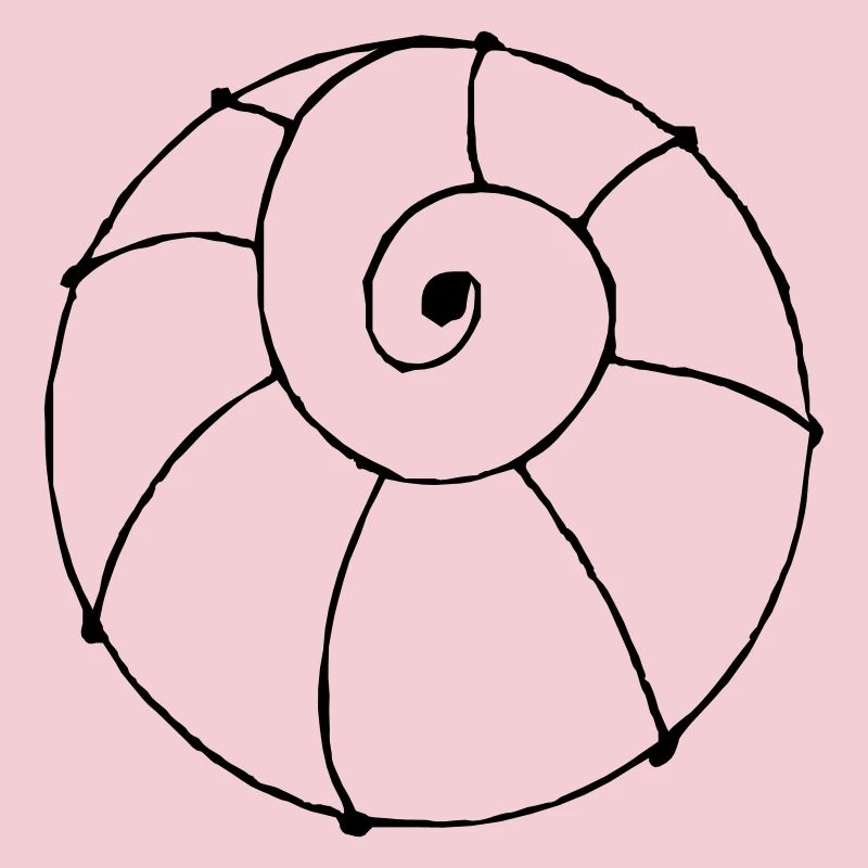 shell