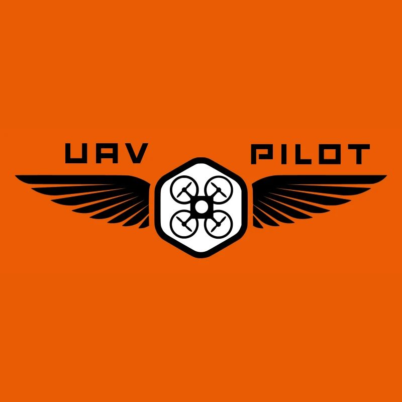 UAV PILOT1