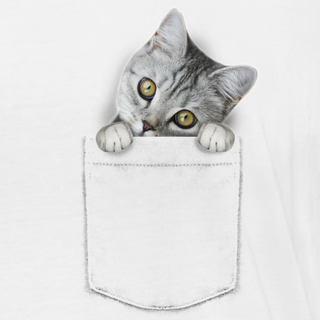 Vorschau: cat pocket - Frauen Bio-Langarmshirt von Stanley & Stella