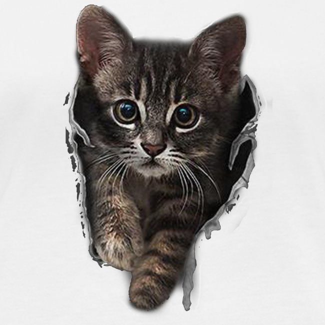 Vorschau: Katze Riss - Stanley/Stella Frauen Bio-Langarmshirt
