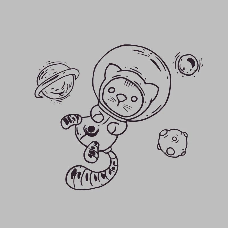 Chat dans l'espace