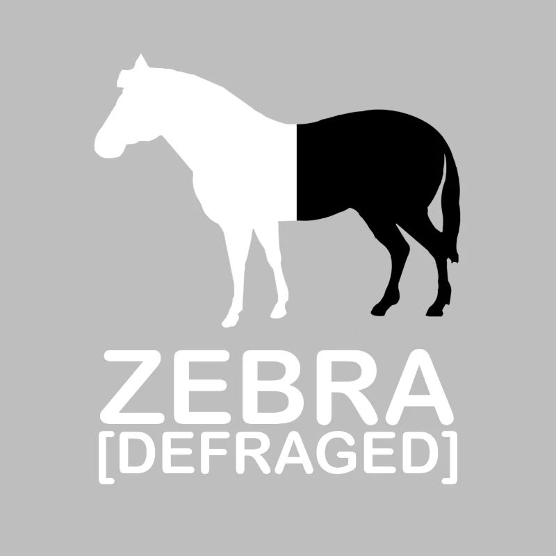 Zebra [defraged] | IT | Ordinateur | Nerd | Geek