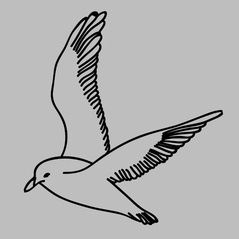 Möwe