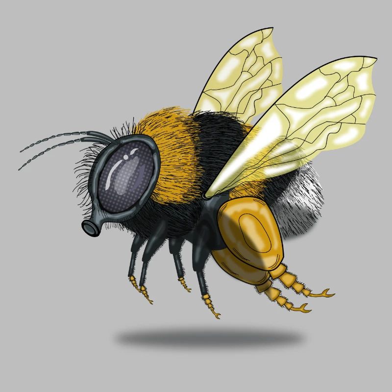 Bumble bee beekeeper conservation gift