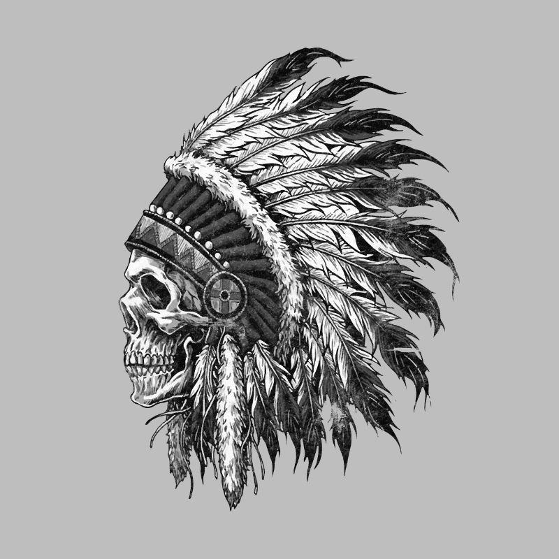 Native American Indian Skull