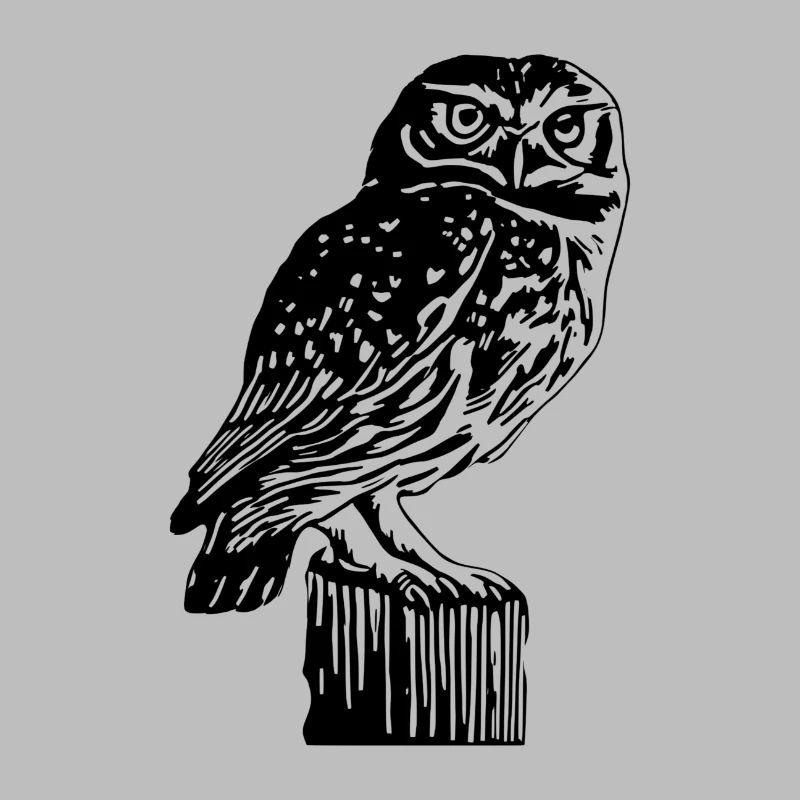 owl
