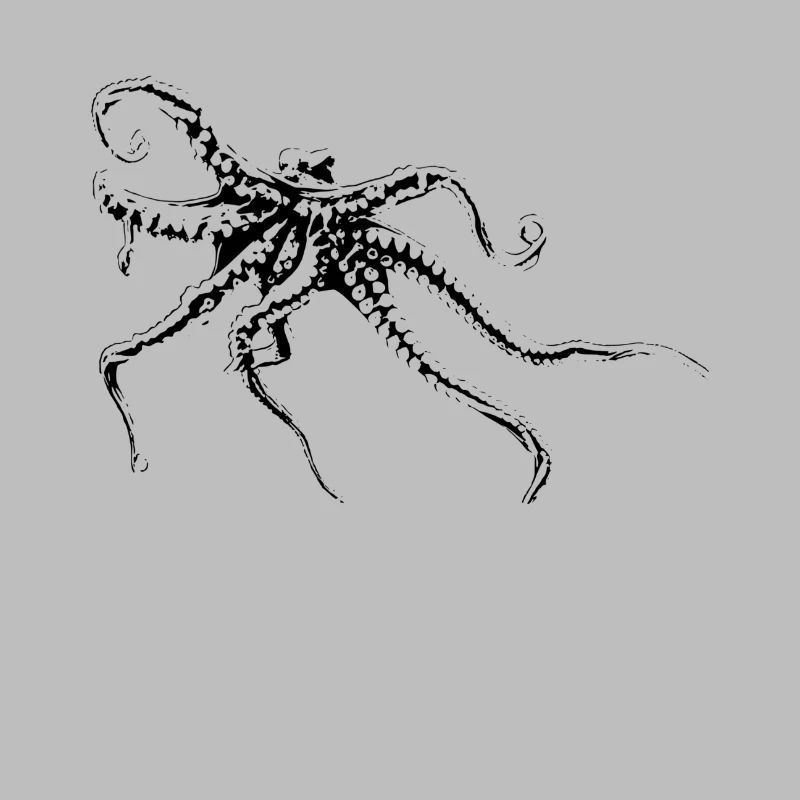 octopus
