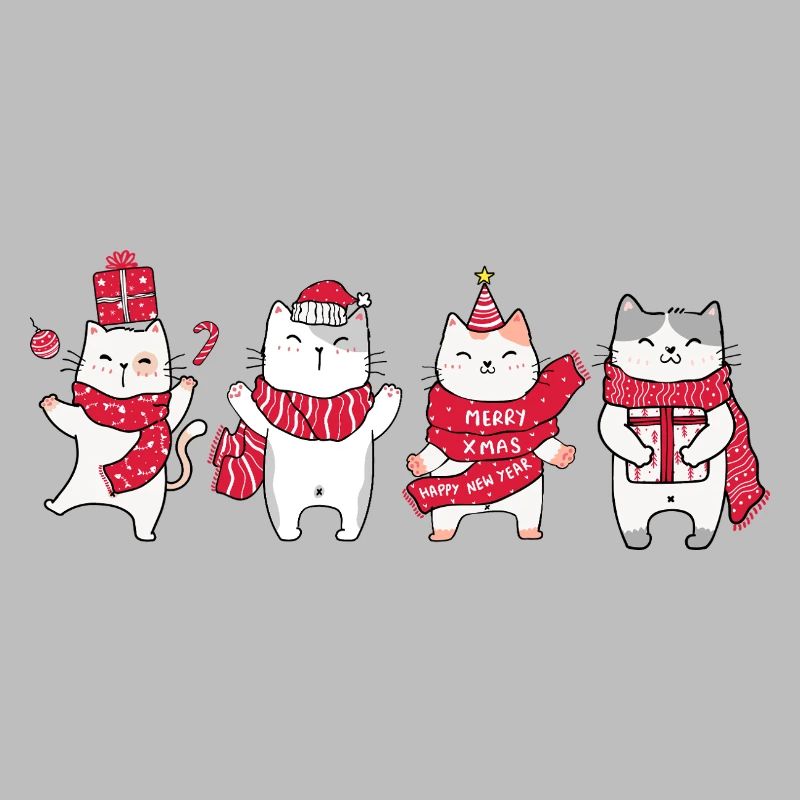 Chat à Noël