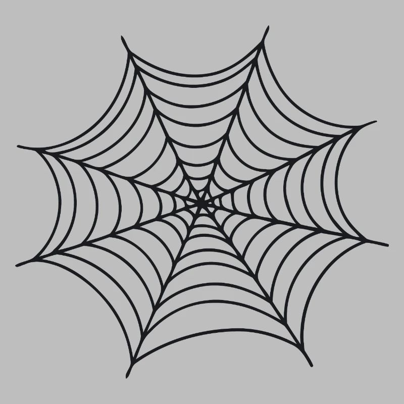 Black Minimalist Spider Web