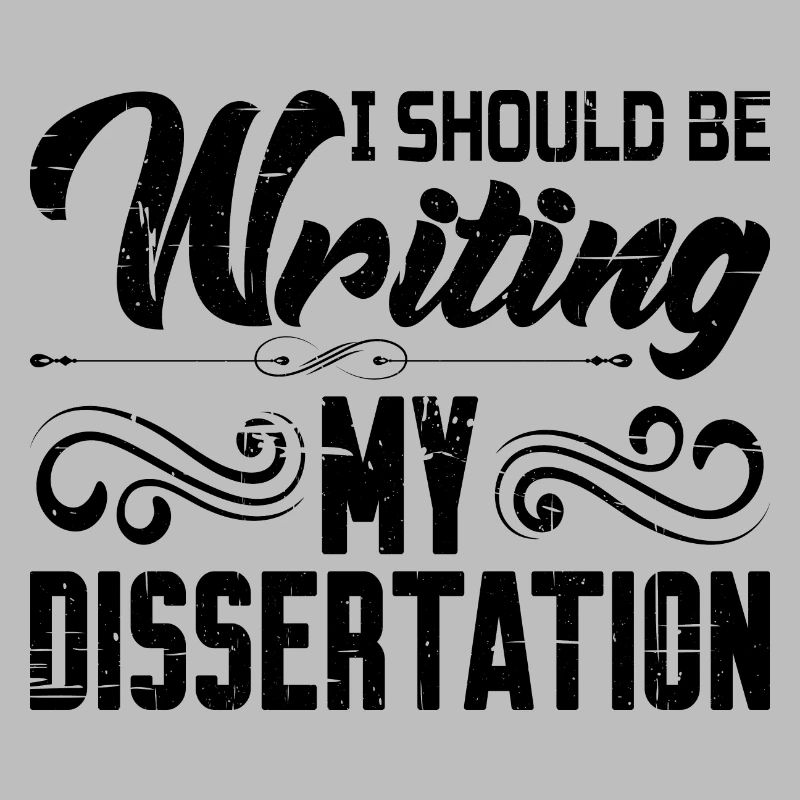 I Should Be Writing My Dissertation 8