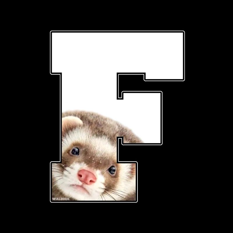 F furet