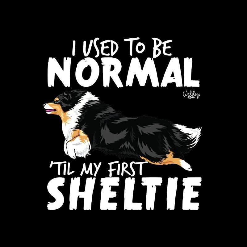 sheltienormal2