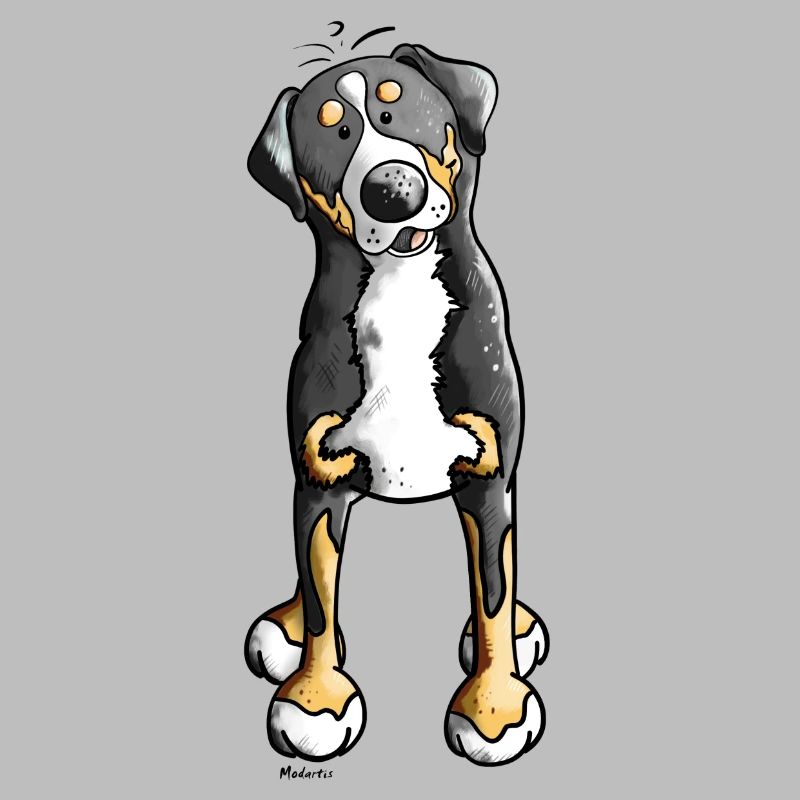 Witziger Schweizer Sennenhund