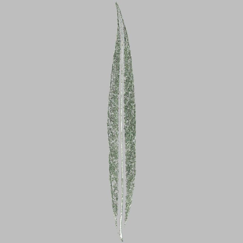 Willow leaf / leaf / nature