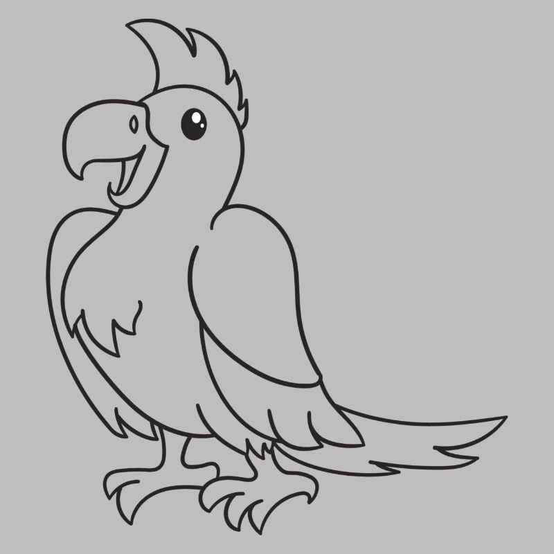 Papagei, Vogel, Geschenk, Geschenkidee