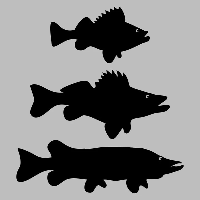 Perchoir - Zander - Hecht