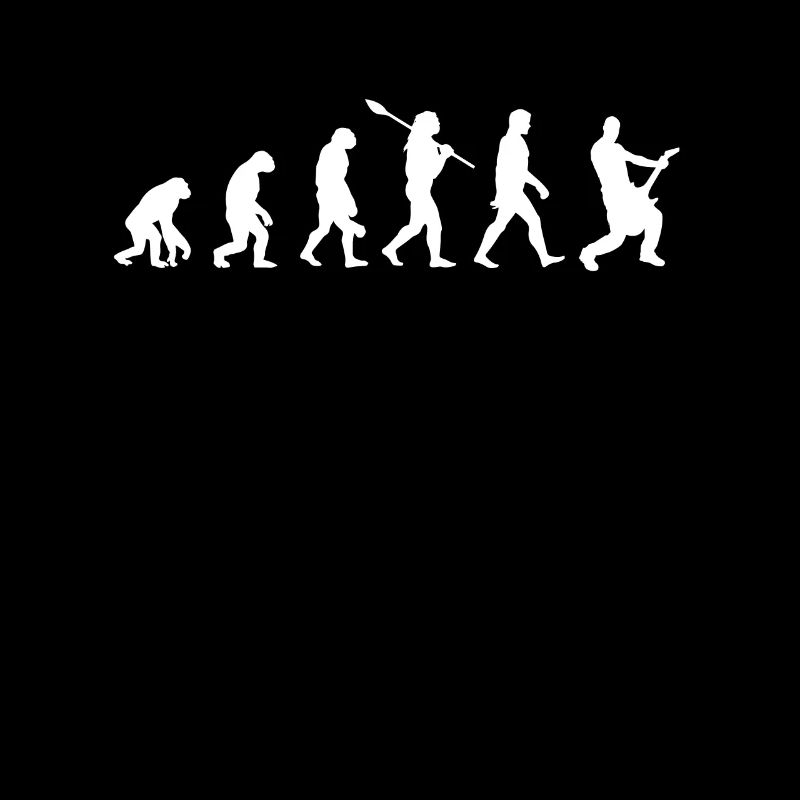 Évolution de la guitare