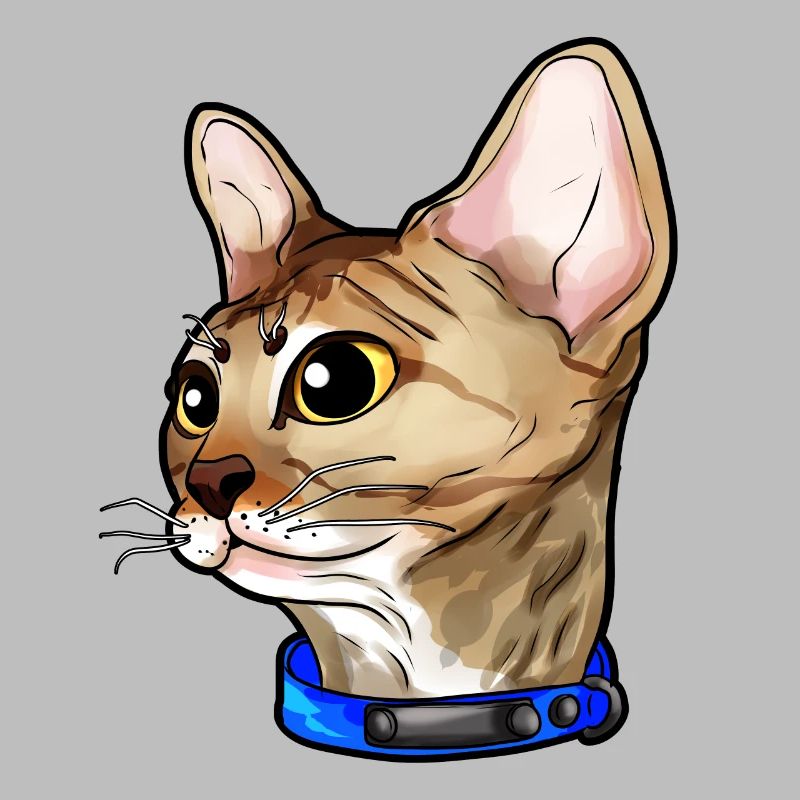 Devon Rex Chat Visage de Chat Amour