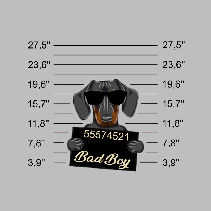 Bad Boy Dackel oder junger Dobermann - Böser Hund